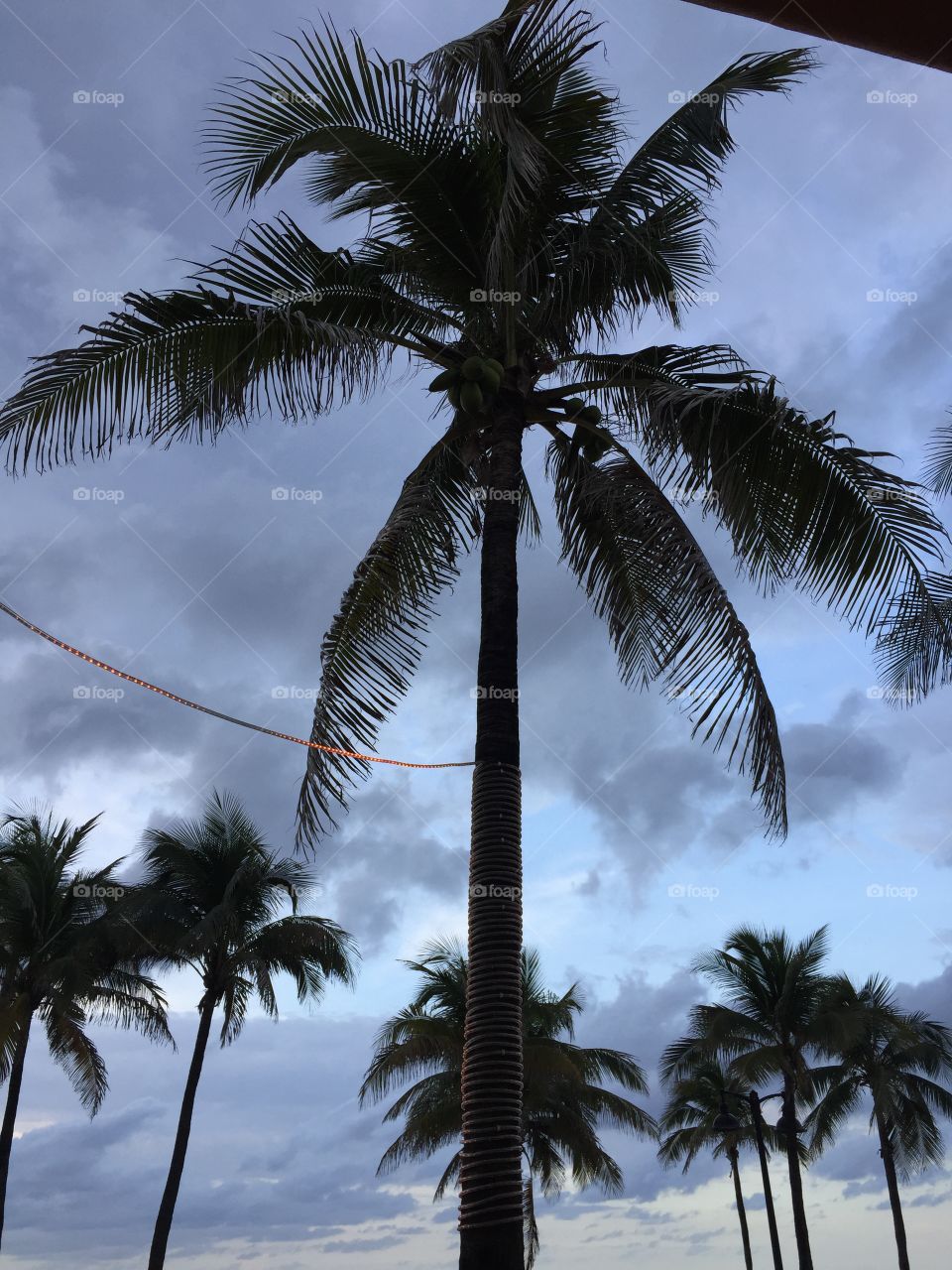 Fort Lauderdale Beach