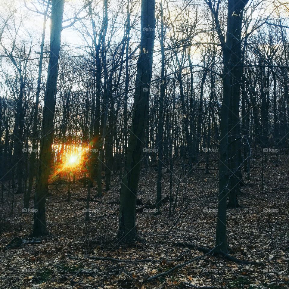 Another weekend, another sunrise run. 