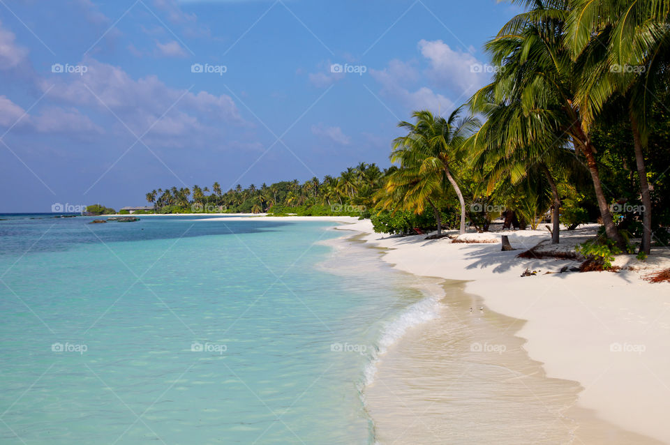 View of beach, Maldives,
