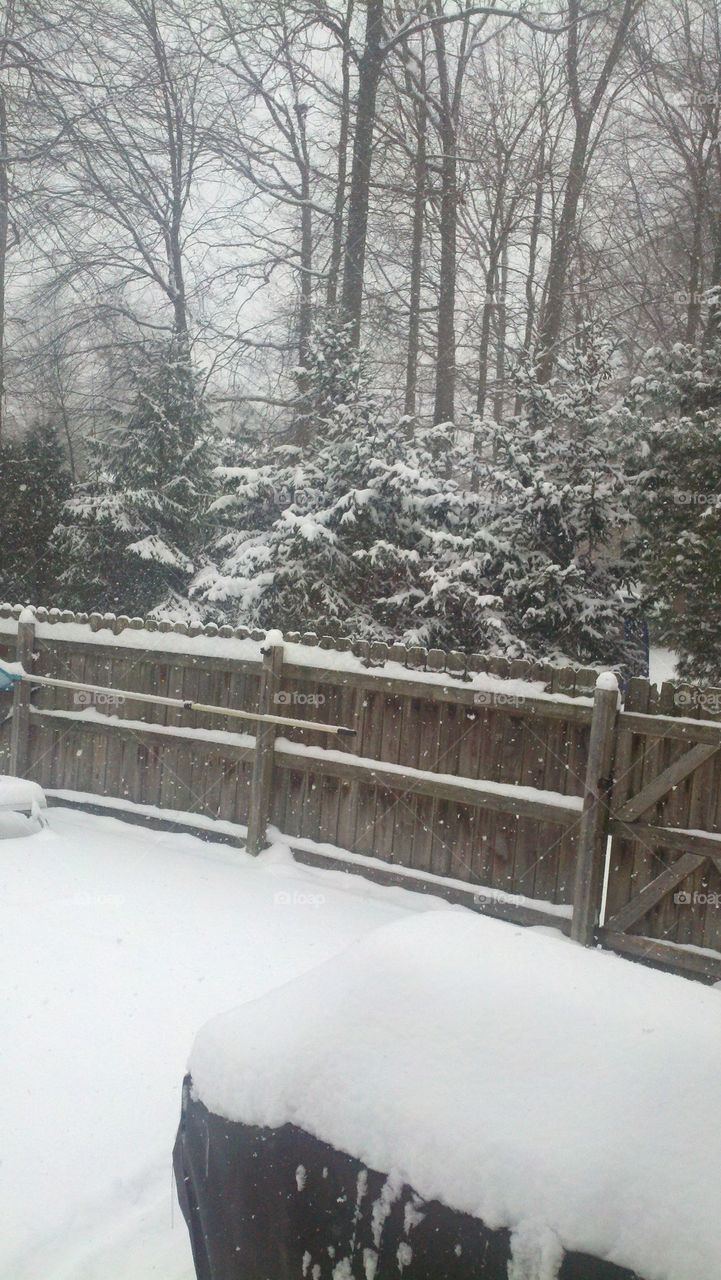 oh my snow again 