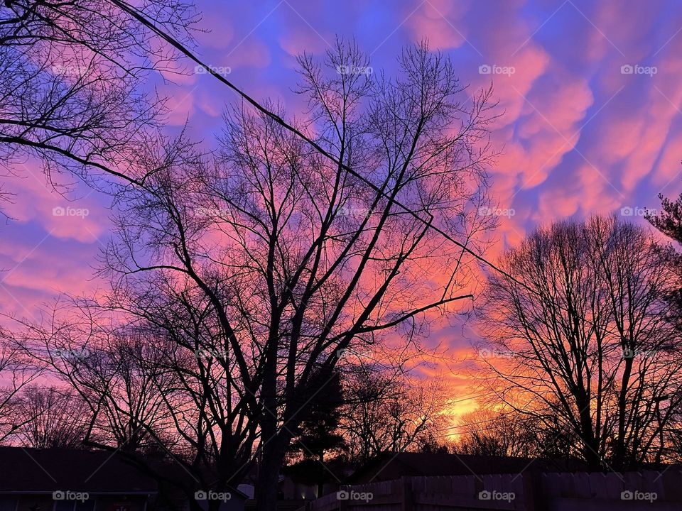 Early morning sky, sunrise in January, sunrise in the wintertime, pretty sky in the winter 