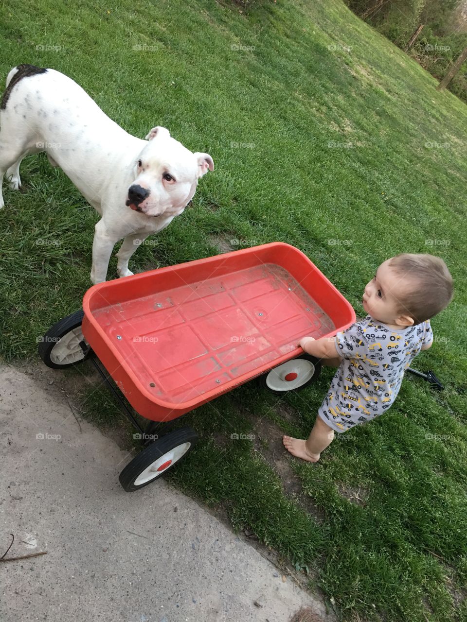 My son and his great uncle’s dog Snoop! They loved playing with each other in the red wagon. 