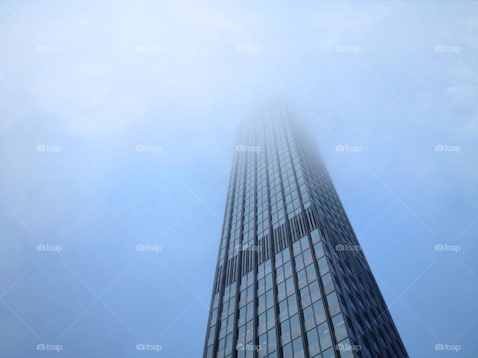 Foggy days at the European Central Bank