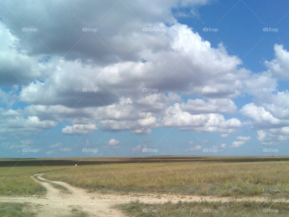 steppe wild nature