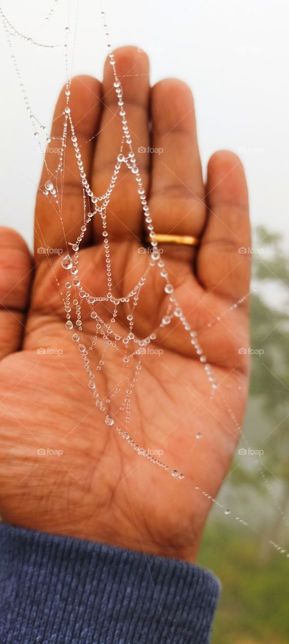 Transparent water beads formed by nature on a tiny web looking awesome.