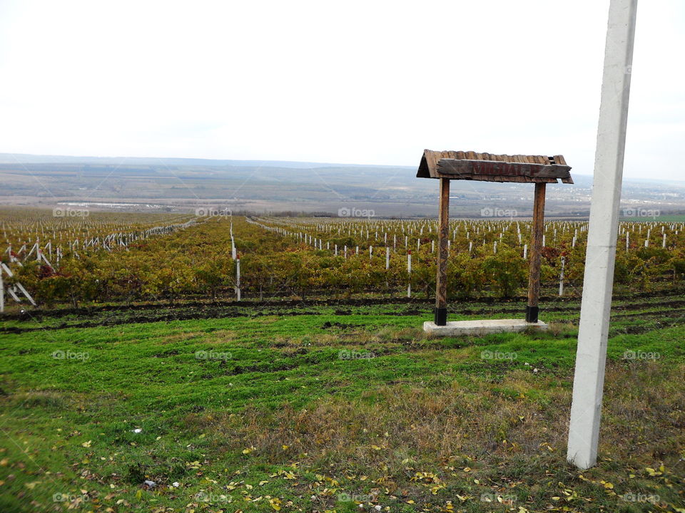 Beautiful rural life