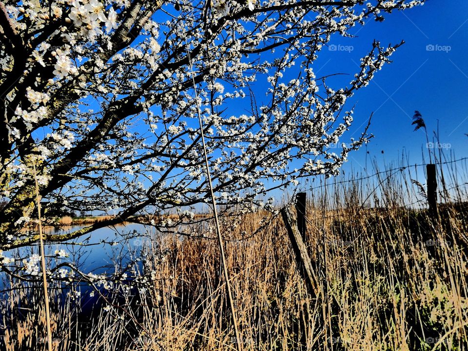 Langsamer Frühlingsstart