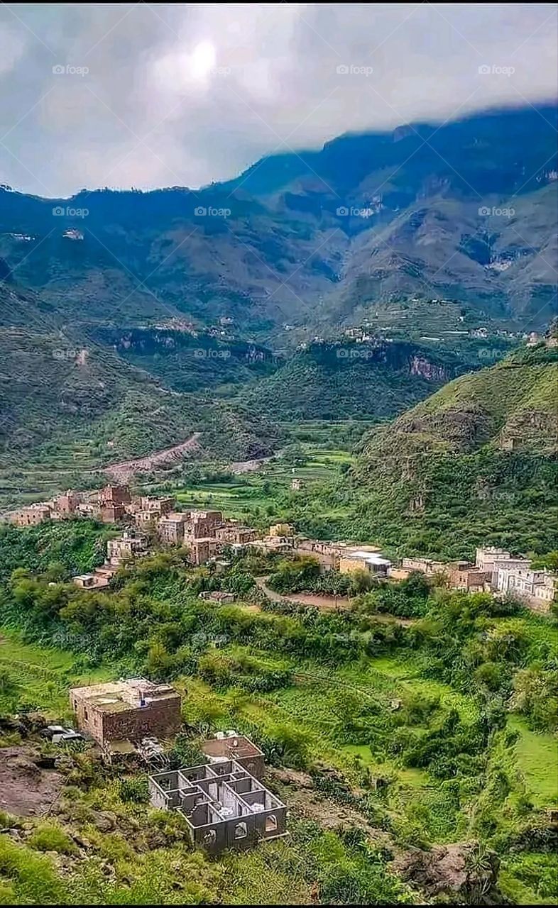 A very beautiful picture, and there is no better picture than it. There is no better picture of green herbs and colorful, red and white roses than it. Glory be to God, the natural and picturesque view, and there is no more