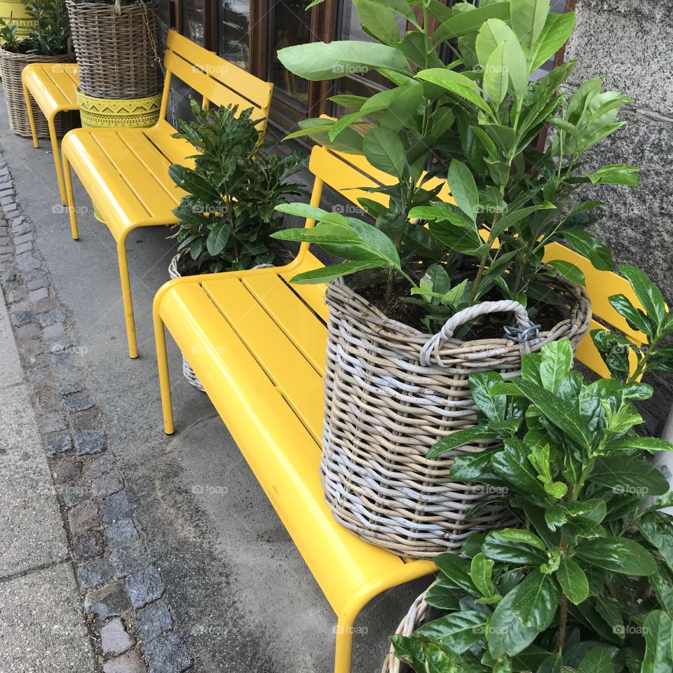 Yellow benches on front of the bistro 