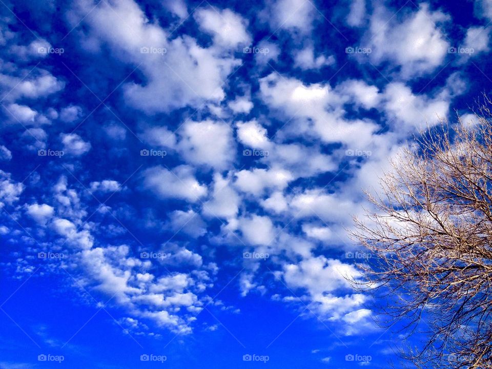 Blue cloudscape 