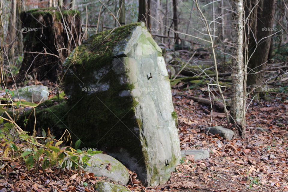 Elkmont gate post