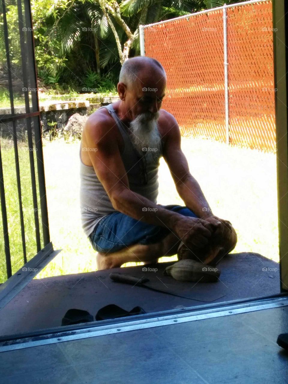 dad cracking coconuts