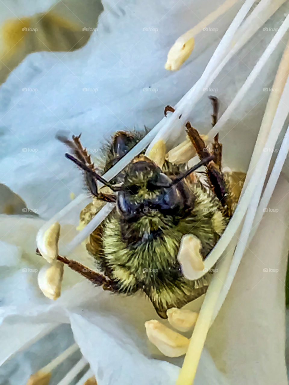 Doing What I’m Doing 