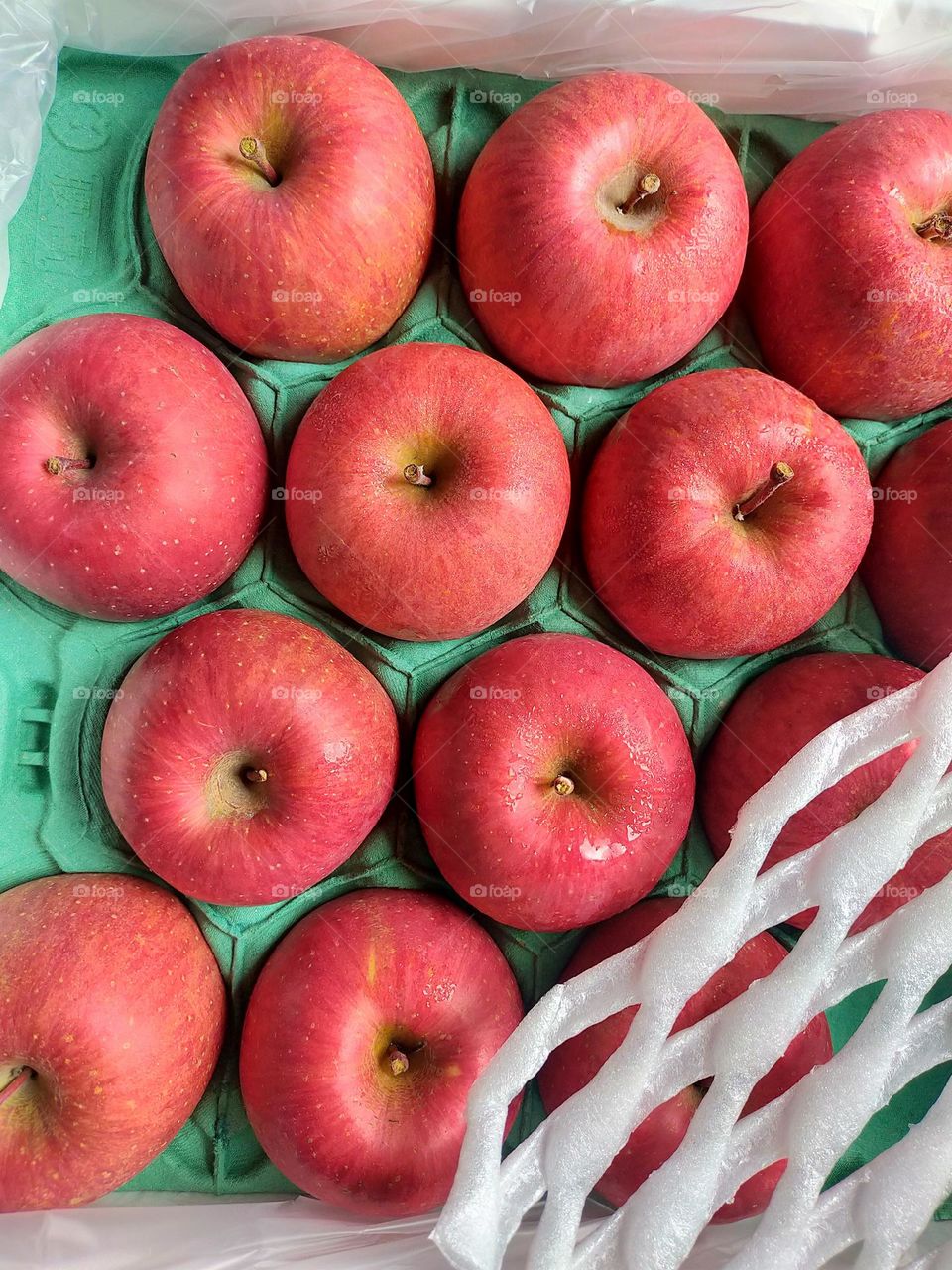 experience the crisp and crunch in every bite...