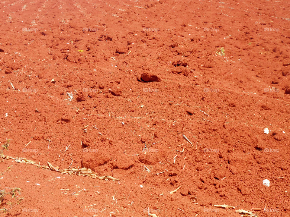 Terra Rossa Clay Soil Texture