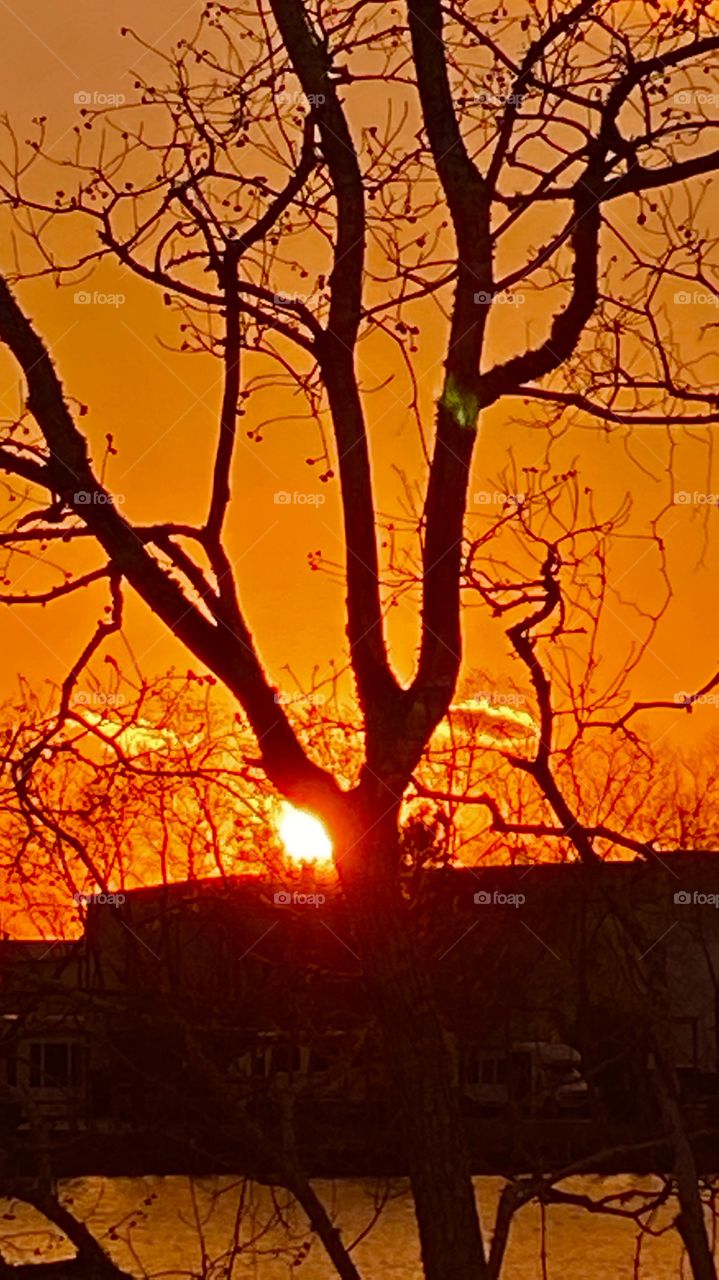 Staring off into a bright Sunset trying to hide the potency’s path of the strong Sun’s Powers of toasting my face on a down right chilly evening. Snap this pic.