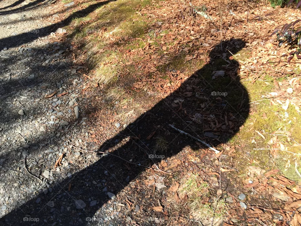 Hiking Fun
