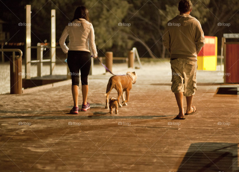 photo story, couple walking their dogs at night while jogging
