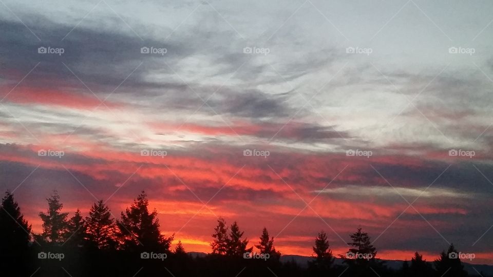 Sunset sky 2016