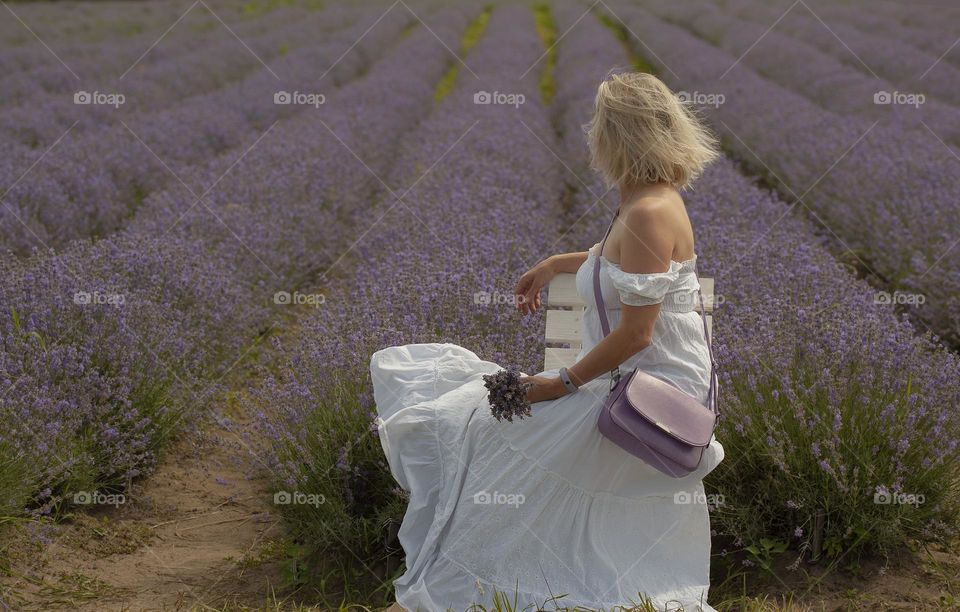 summer, travel, lavender field, relaxation