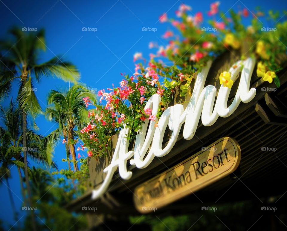 Royal Kona resort big Island Hawaii signage the colorful flowers in palm trees