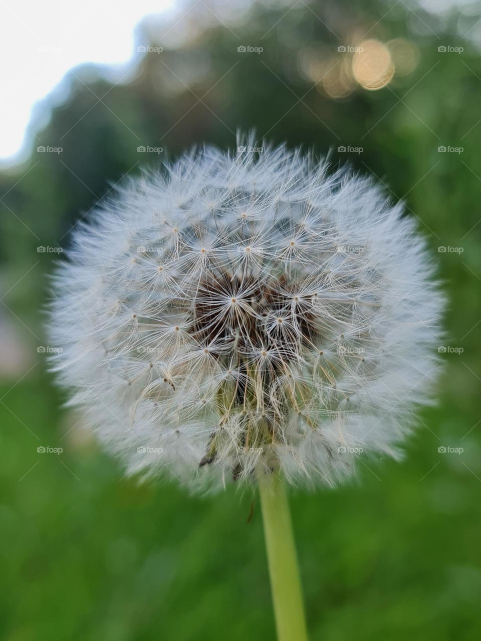 Dare to be different.  Each color in this photo will be experienced differently by each of us.  How beautiful life is.  Is it?