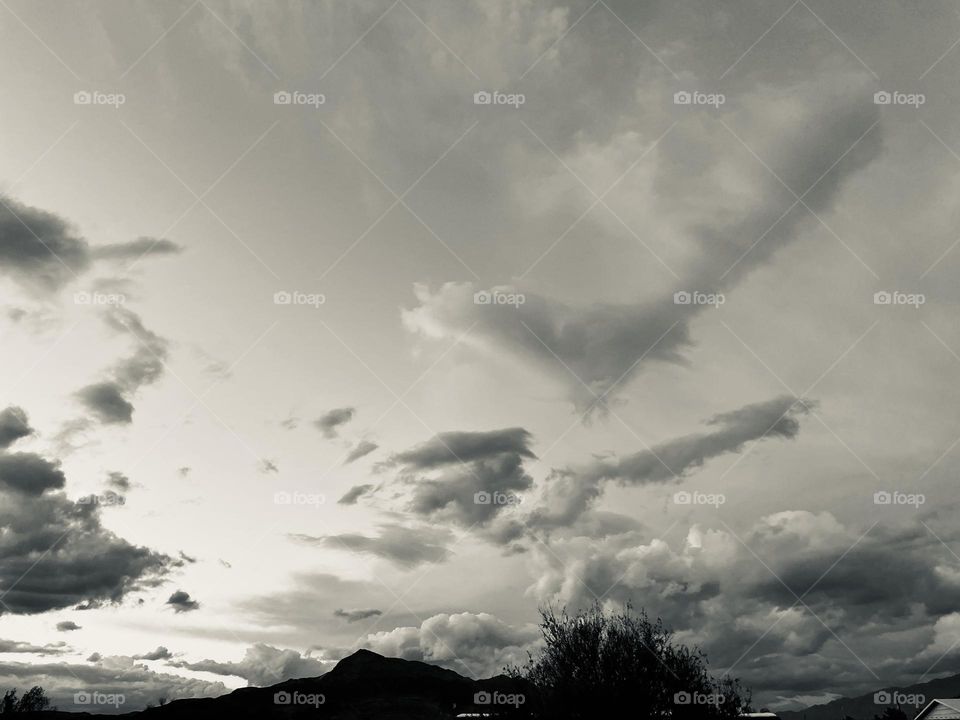 A black and white photo of a mountain with a cloudy sky above and a tree in the frame. 