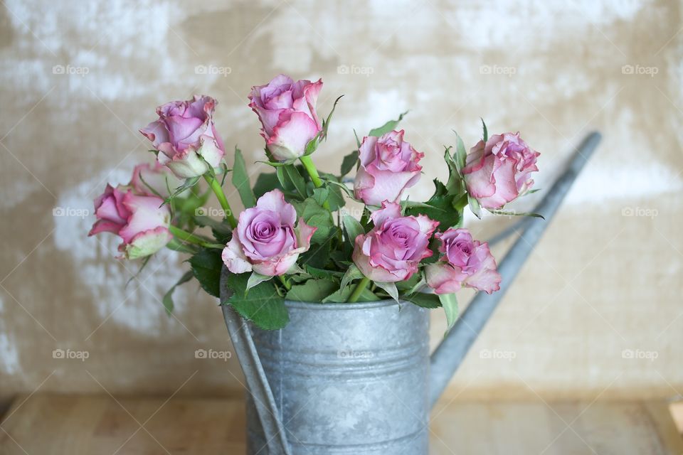 pink roses with water jug ​​zinc