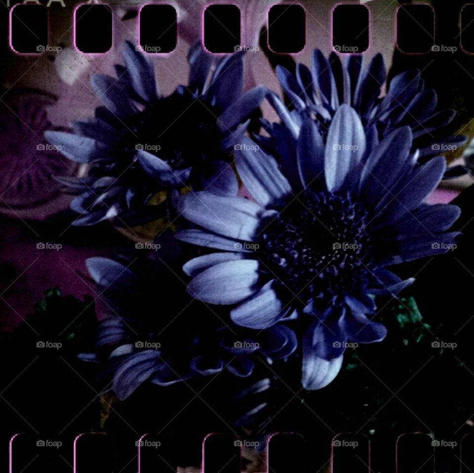 my blue heart. light effects