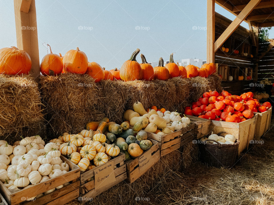 Pumpkins