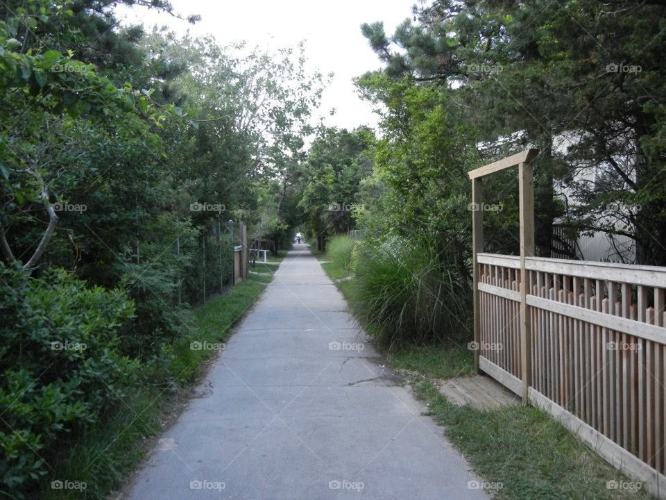 path through the village of ocean beach