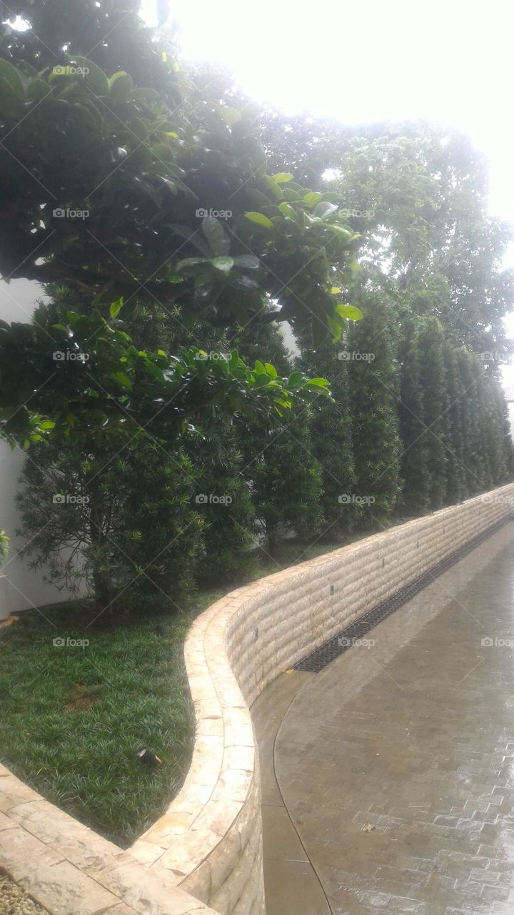 when it rains during the day, everything looks wet