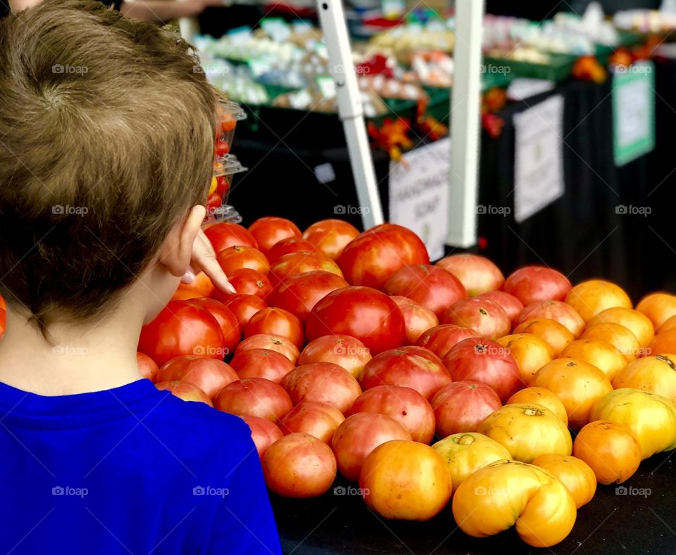 Young boy picking out different shades of tomatoes at a Farmers Market in Northeast Pennsylvania in Fall