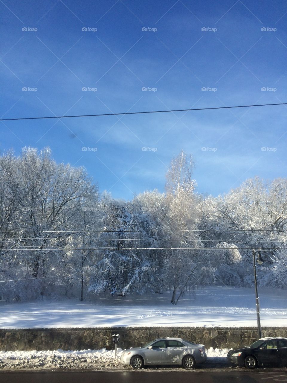 Winter scene in Massachusetts. Snow and trees. 