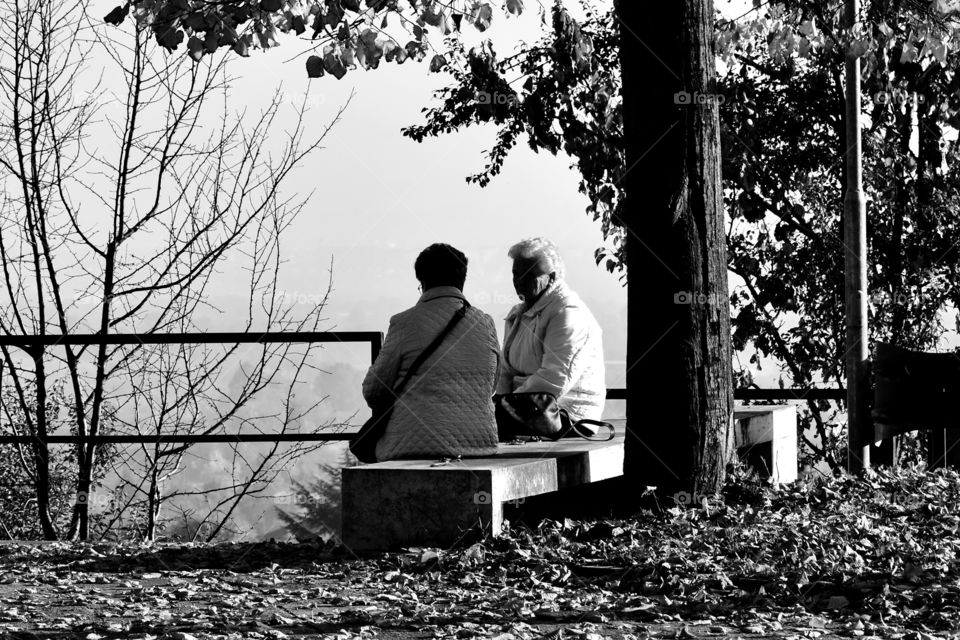 two elderly women sitting on a bench near a tree