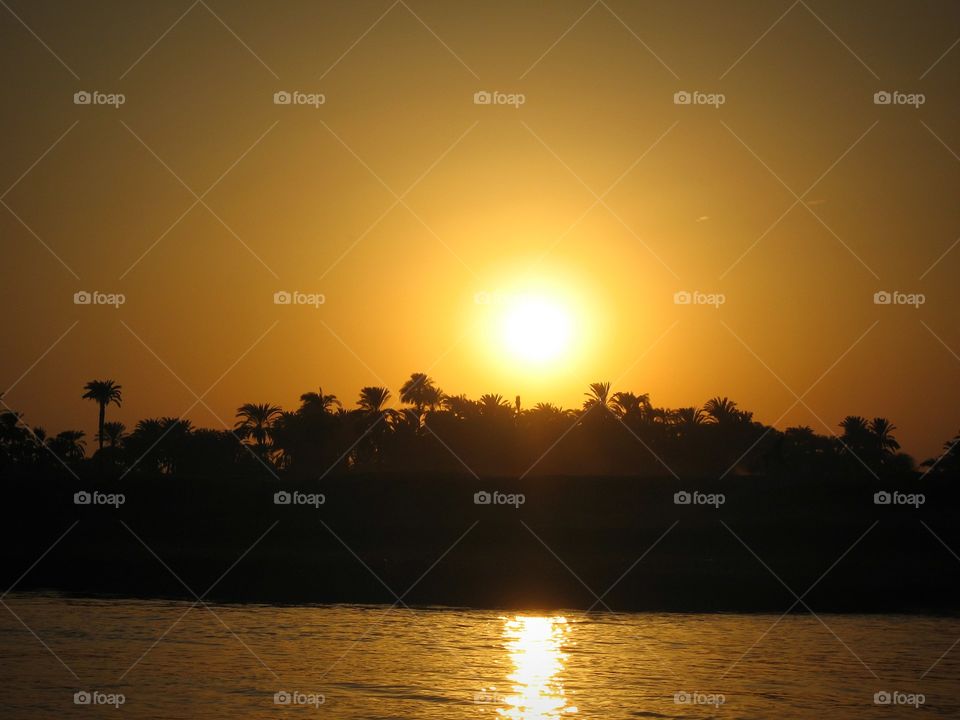 sunset, shadow, silhouette, sun, palm trees