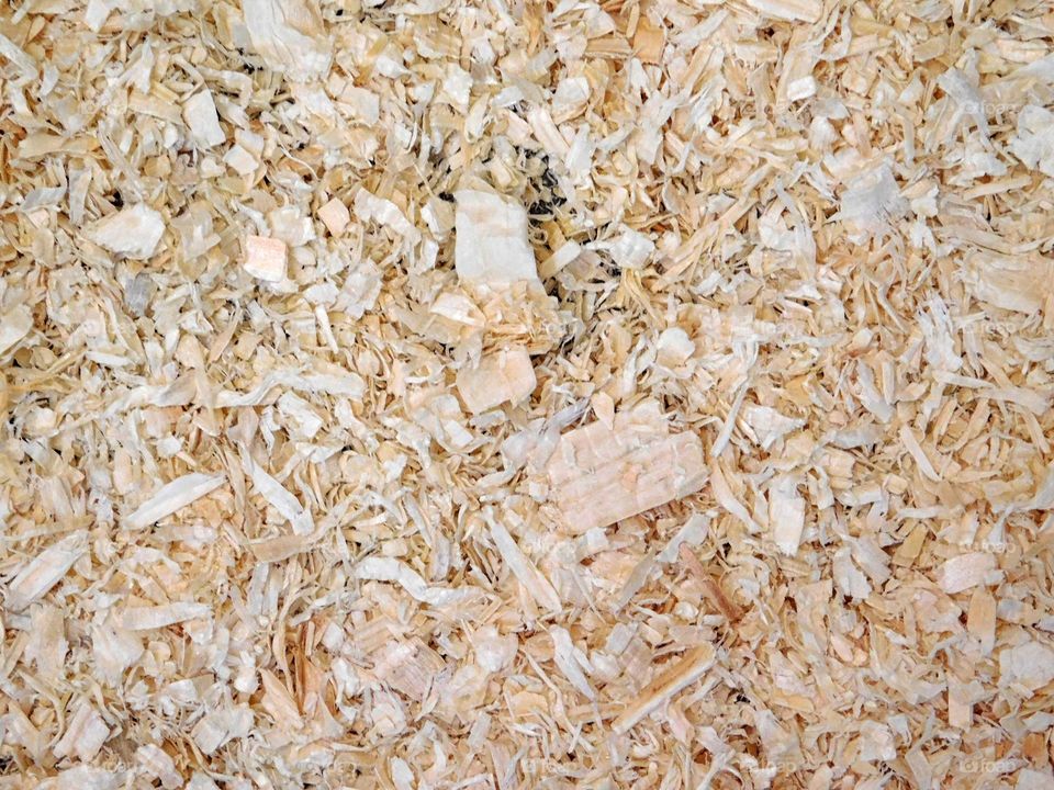 sawdust