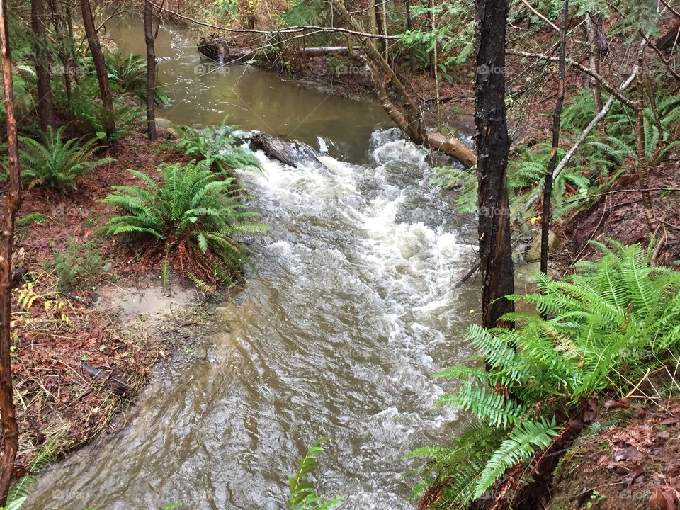 Running Creek
