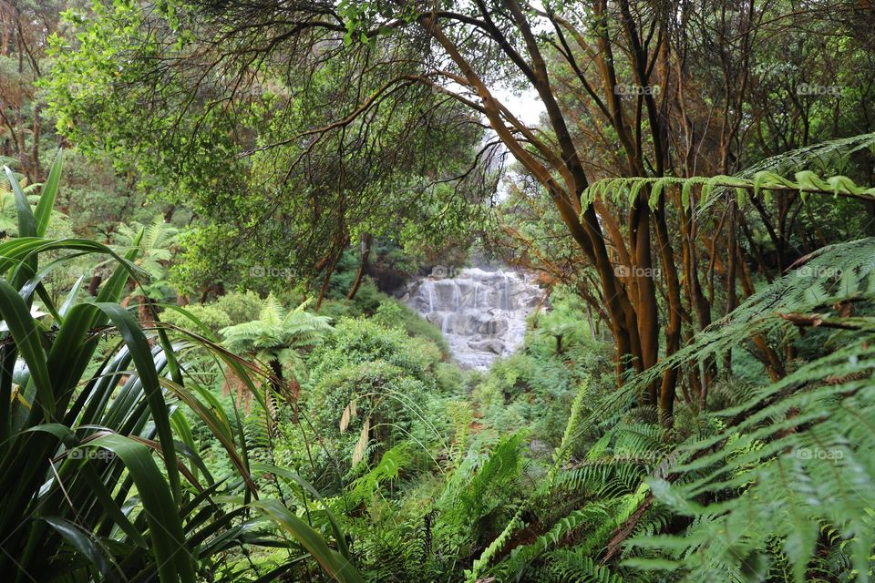 Waterfall hidden in the forest