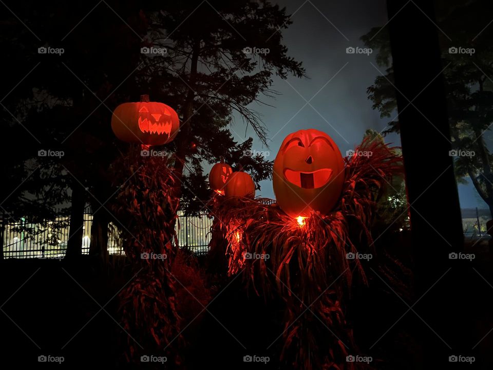 Jack o lanterns lit up with orange light Instagram TamaraLucey18