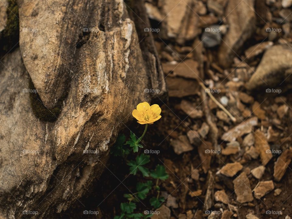 Nature is everything 