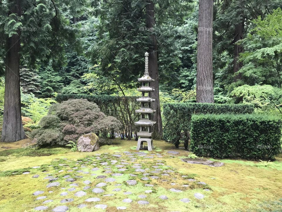 Japan garden 