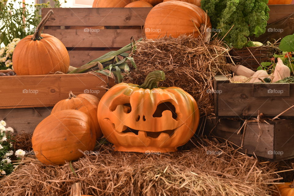Pumpkin, Halloween, No Person, Thanksgiving, Fall