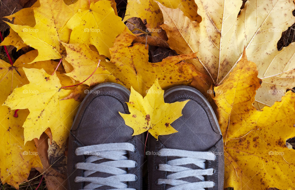 Boots among yellow fallen leaves