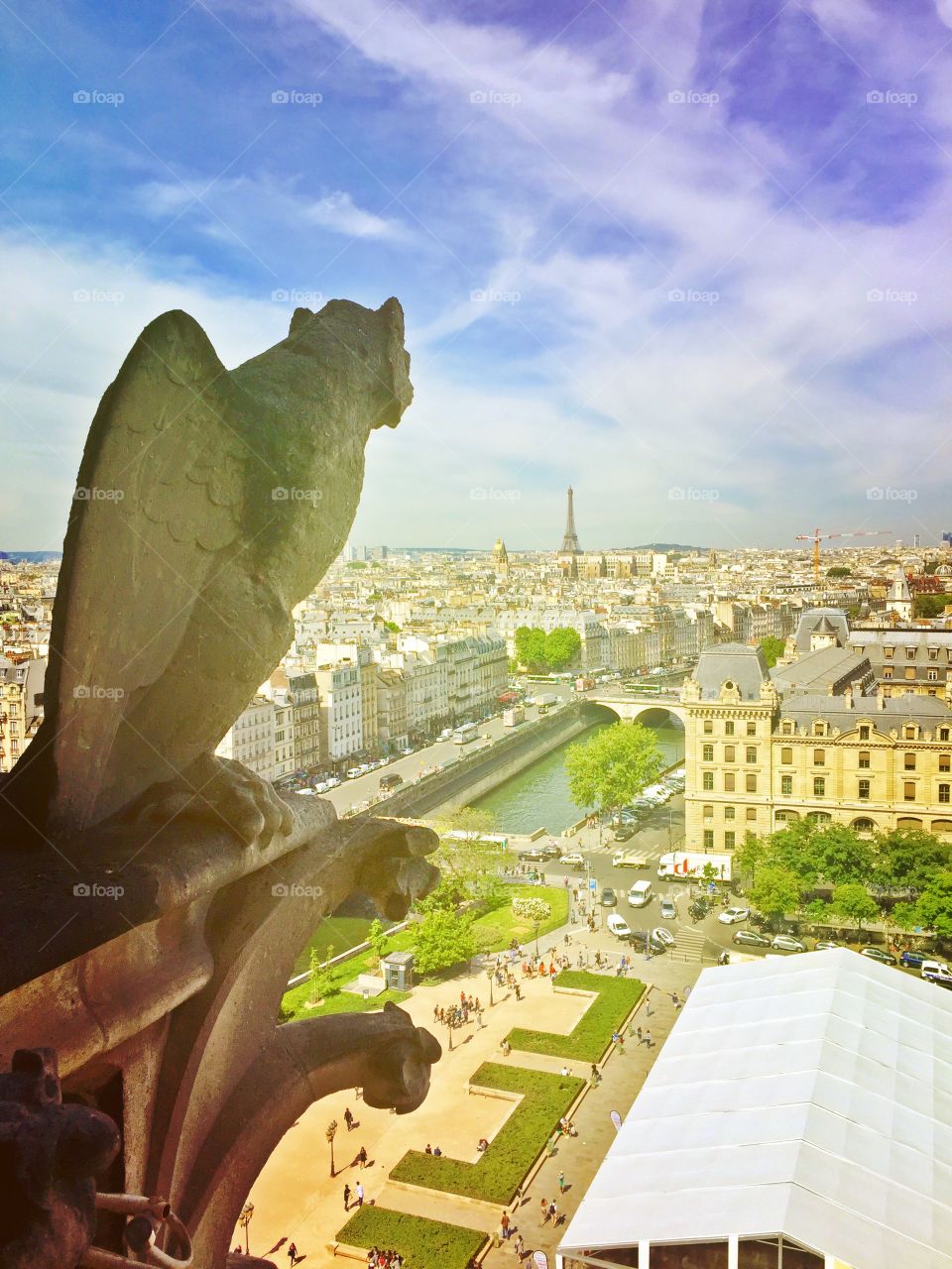 Gargoyle view of Paris 