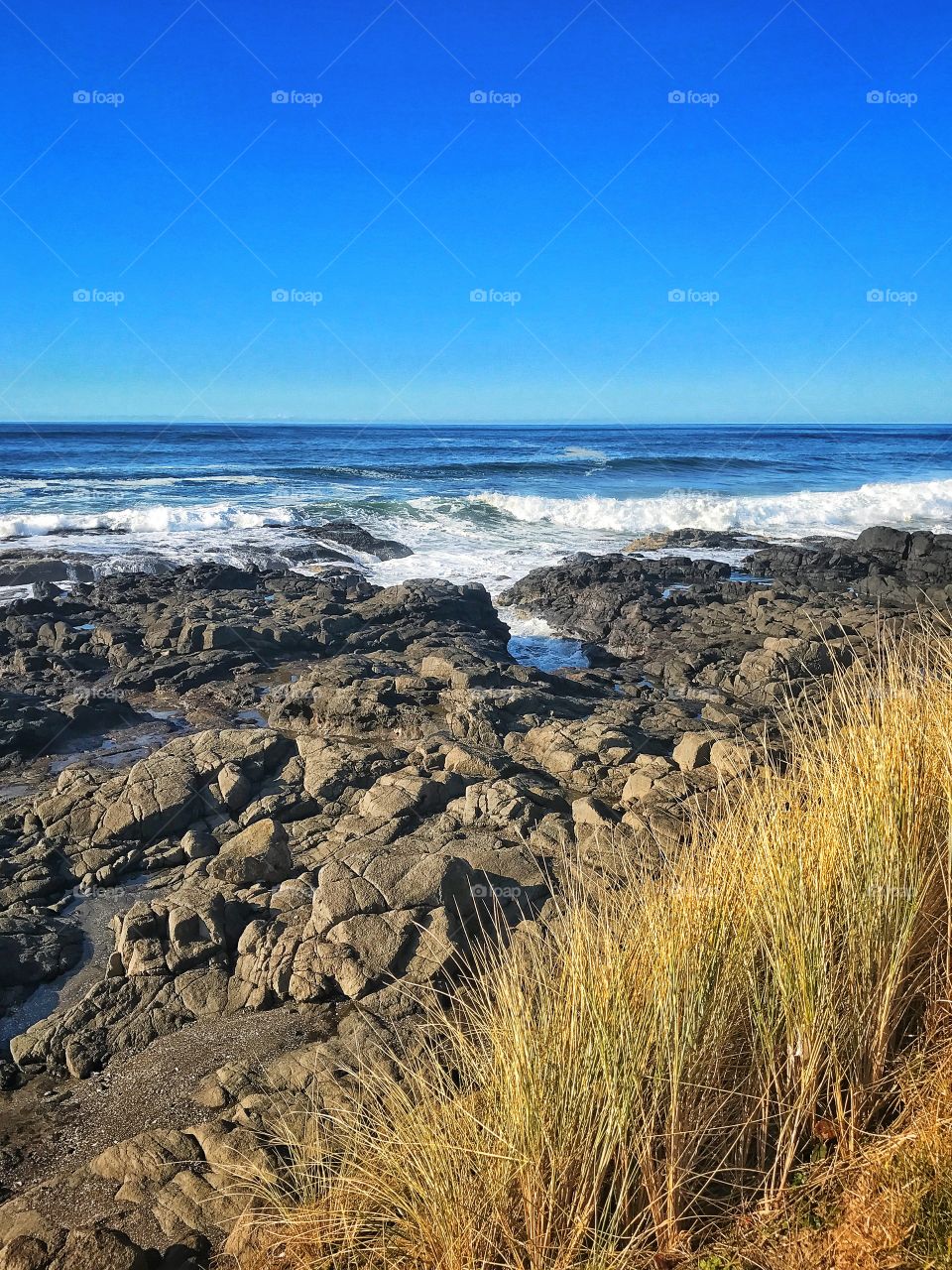 Rocky shores 