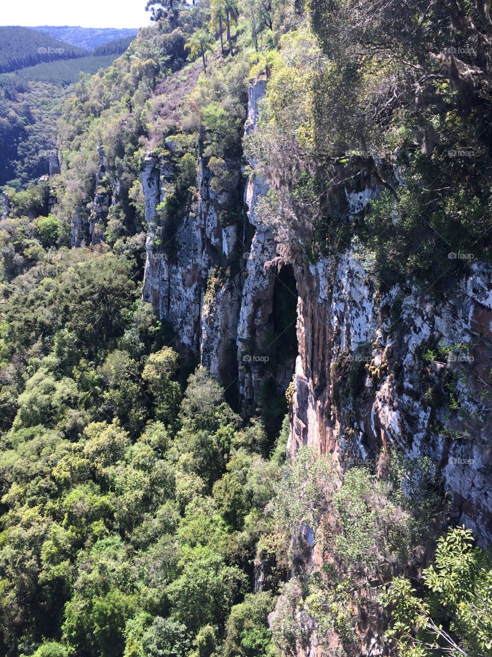 Beautiful rock formation over the forest