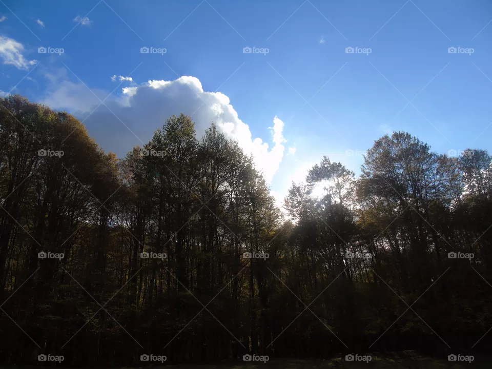 Cloud