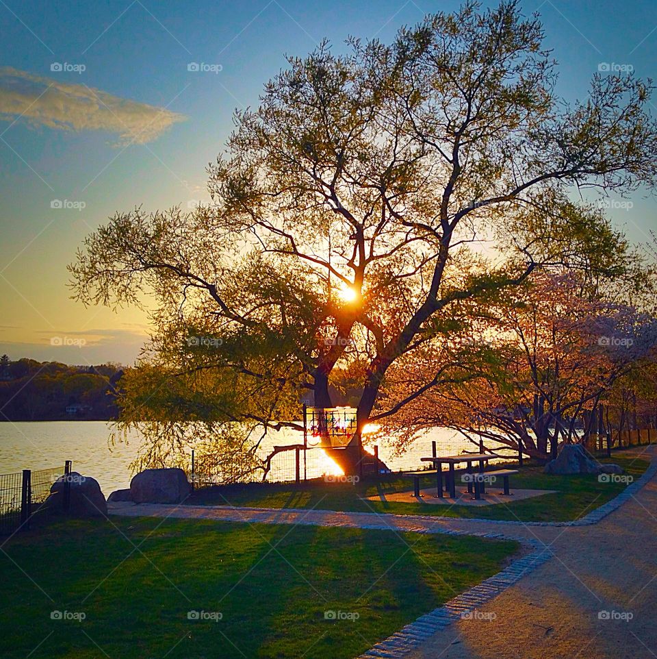 Sunset at Spy Pond