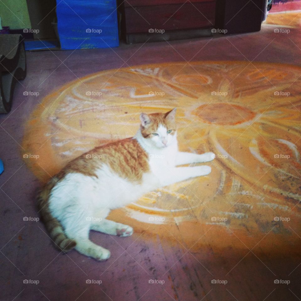 Matching floor and cat